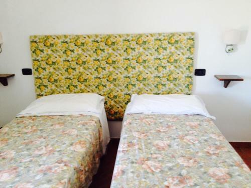 Agroturismo Il Bettarello