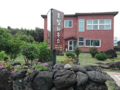 Hostal Ophir House