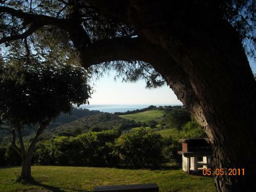 Bed & Breakfast La Volpe E L'uva