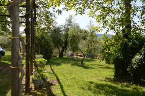 Apartamento L'ulivo
