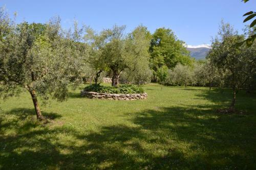 Apartamento L'ulivo