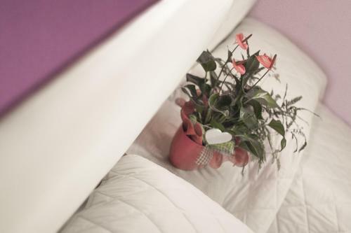 Bed & Breakfast La Tarantola
