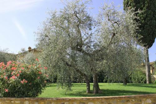 Tignano Villa Sleeps 6 Pool Air Con Wifi