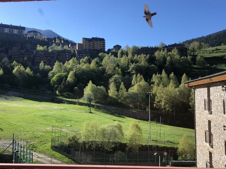 Mansion With One Bedroom In Canillo