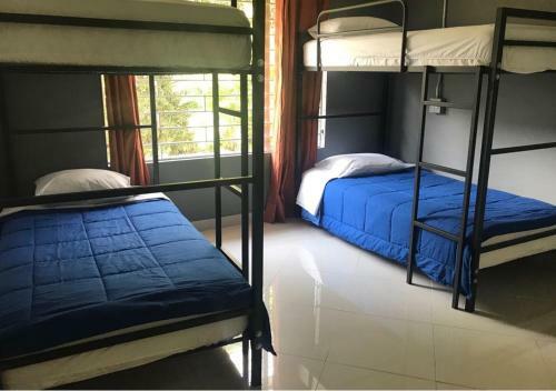 Hostal Black Sheep Medellin