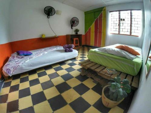 Hostal Mango Bed And Breakfast