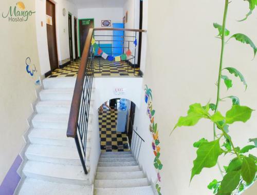 Hostal Mango Bed And Breakfast
