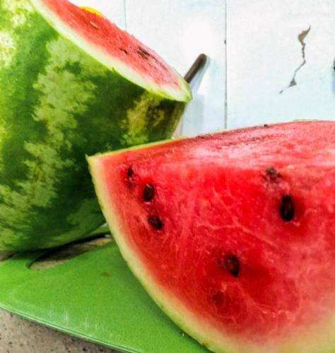 Hostal Mango Bed And Breakfast