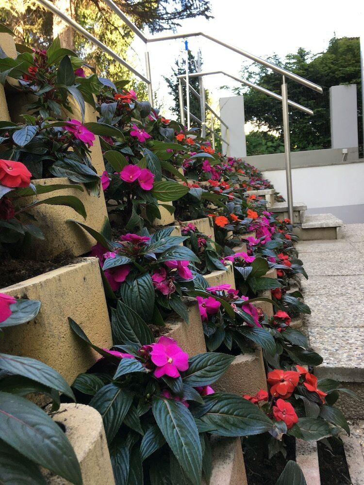 Apartamentos Ajo Vienna Garden - Contactless Check-in