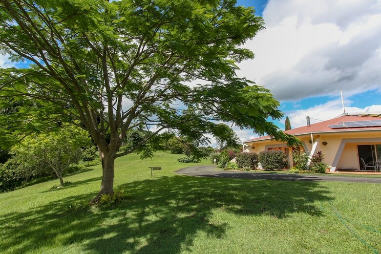 A View Of Mt Warning Bed And Breakfast