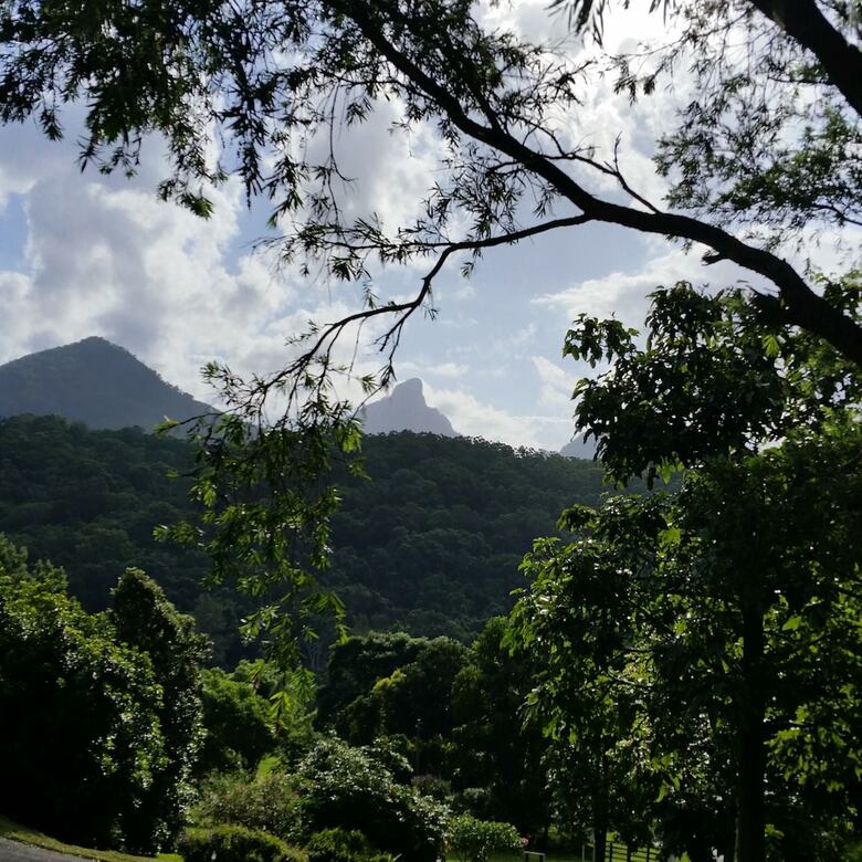 A View Of Mt Warning Bed And Breakfast