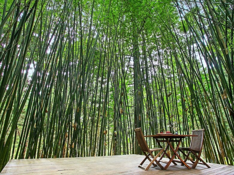 Bed & Breakfast Azabu Boutique Accommodation Byron Bay