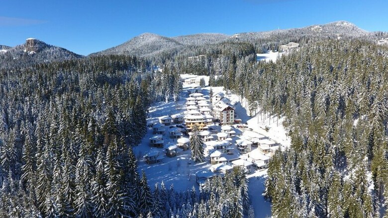 Hotel Forest Glade