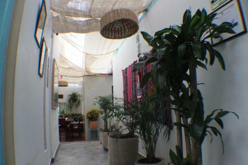 Hostal Cas�