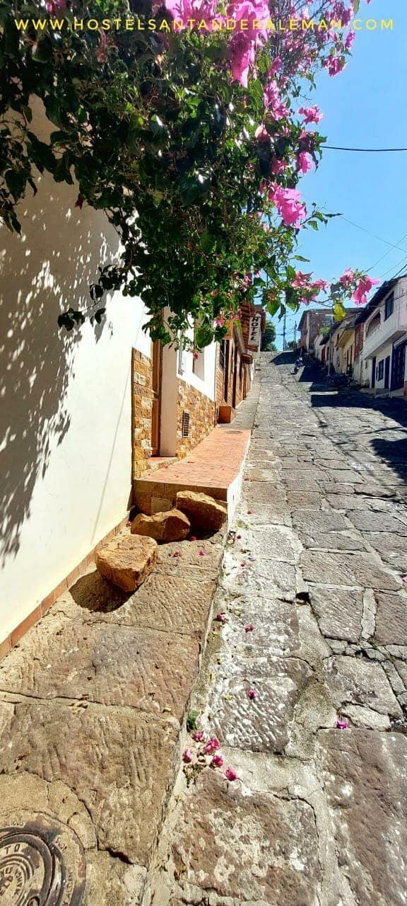 Hostal Hostel Santander Alem�n Terrace Vista