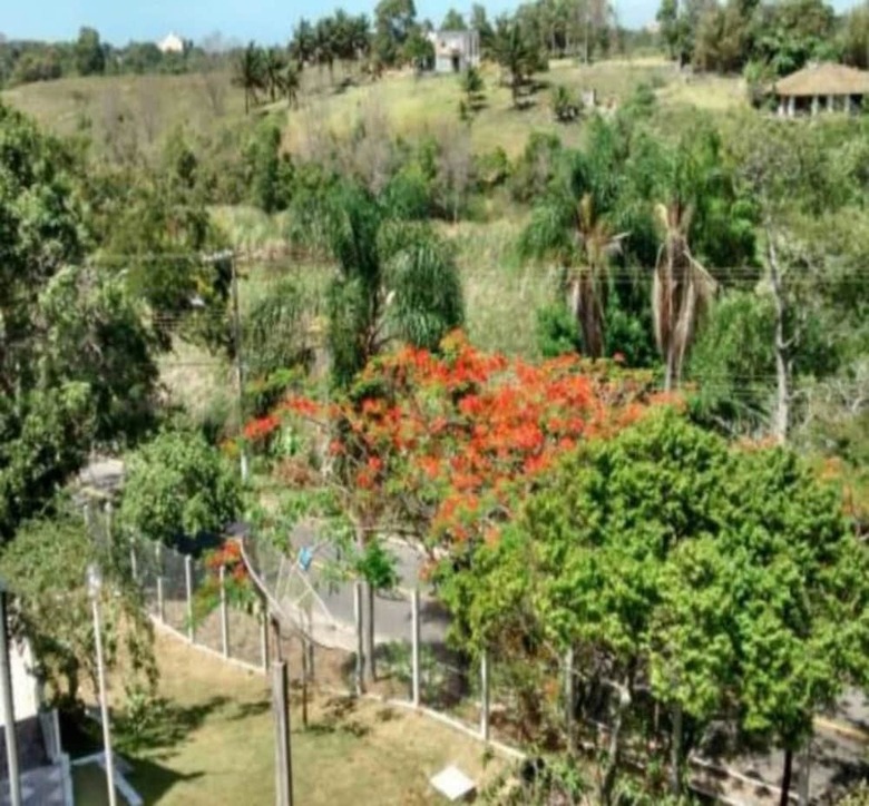 Aparthotel Village Dos P�ssaros