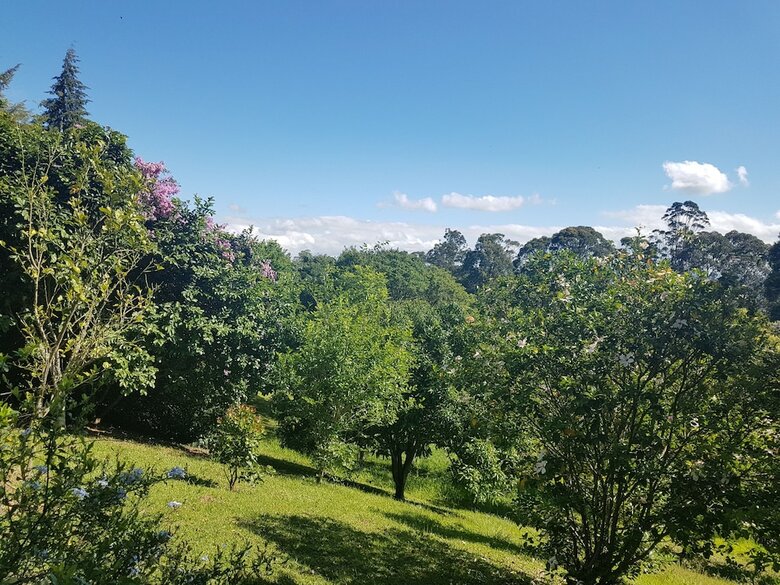 R�stico Nas Alturas - Amparo