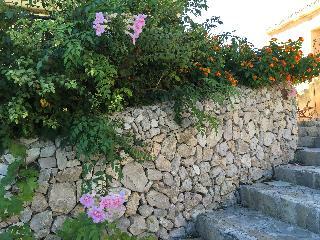 Hotel Agroturisme Es Picot
