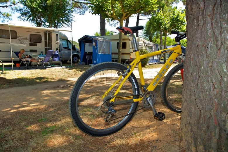 Camping Riembau