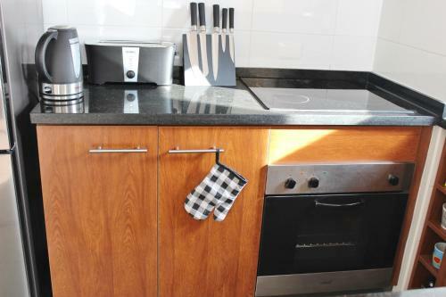 Valle Nevado Vip Apartment Ski Out-in