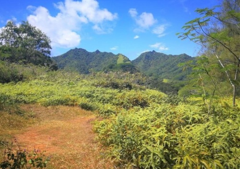 Villa Rarotonga Golfseaview