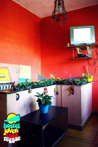 Hostal Young Reggae Hostel