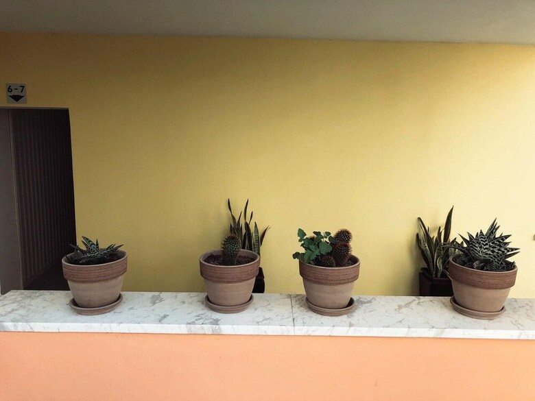 Apartamentos Katsikantaris Homes