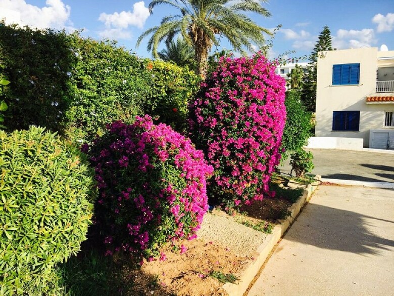 Apartment In Kato Paphos