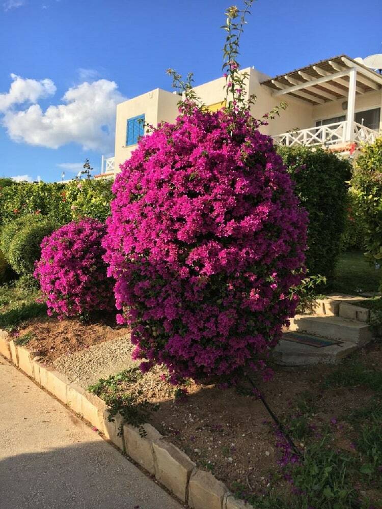 Apartment In Kato Paphos