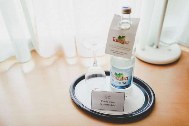 Hotel L�wen-seckenheim
