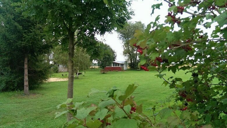 Campingplatz Am H�nstein