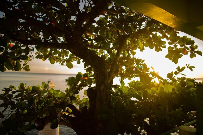 Hotel Ocean's Edge Lodge Restaurant & Bar C