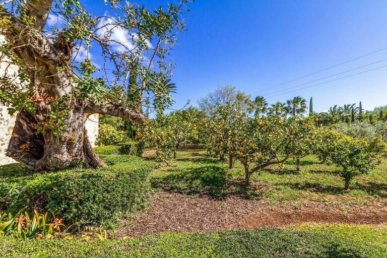 Villa Finca Las Martorell