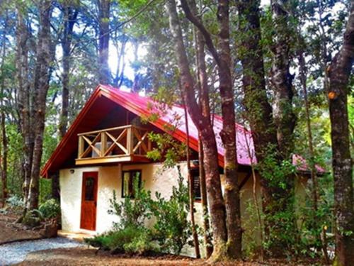 Hotel Salto Del Carileufu