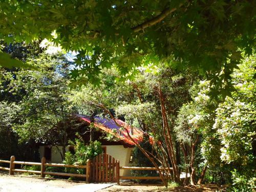 Hotel Salto Del Carileufu