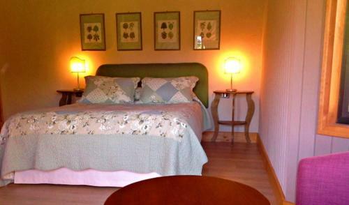 Hotel Salto Del Carileufu