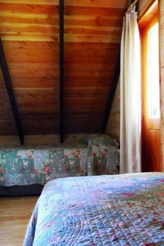 Hotel Salto Del Carileufu
