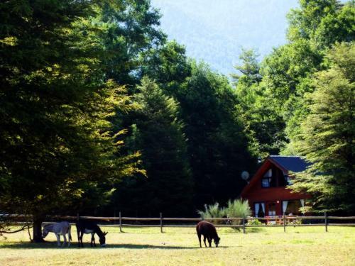 Hotel Salto Del Carileufu