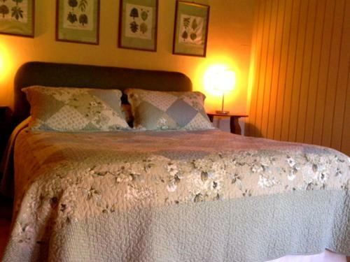 Hotel Salto Del Carileufu
