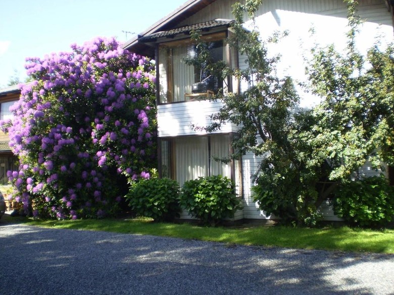 Lodge Caba�as Mapulay