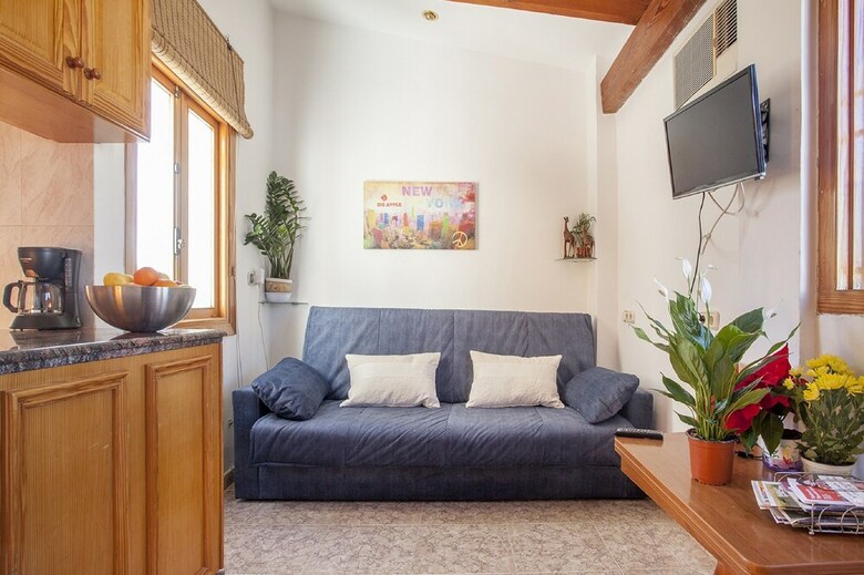 Apartamentos �tico Centro De Valencia Pet Friendly
