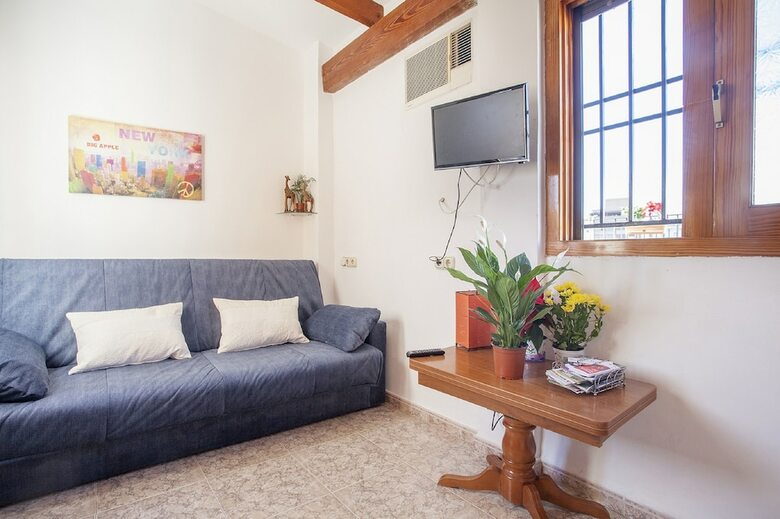 Apartamentos �tico Centro De Valencia Pet Friendly