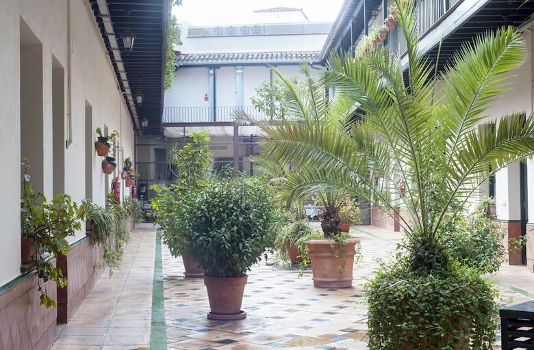 Apartamentos Patio Cartuja