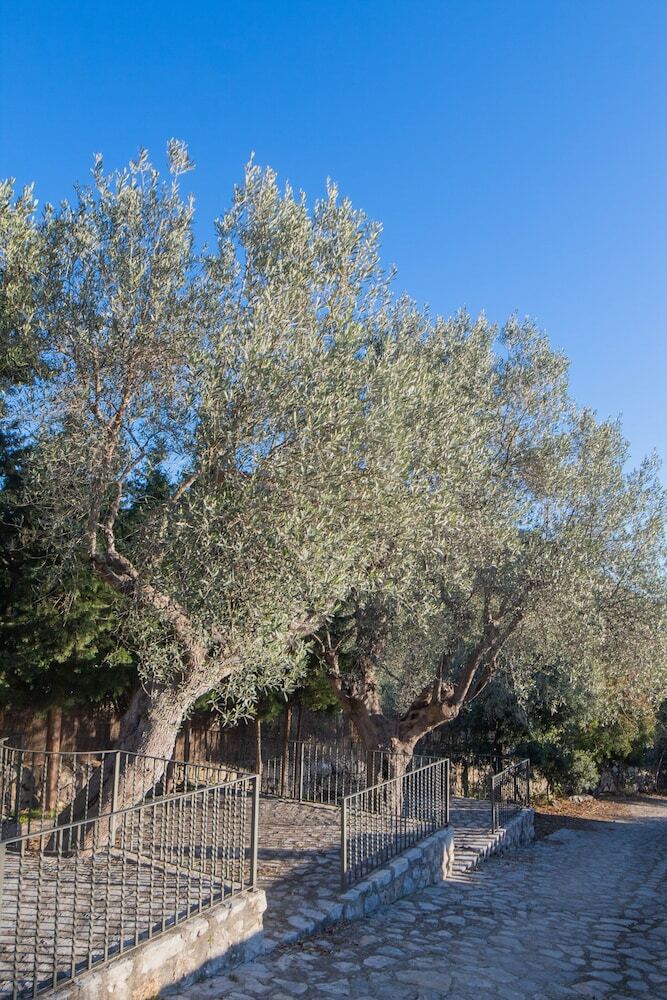 Finca Agroturismo Can Beneit