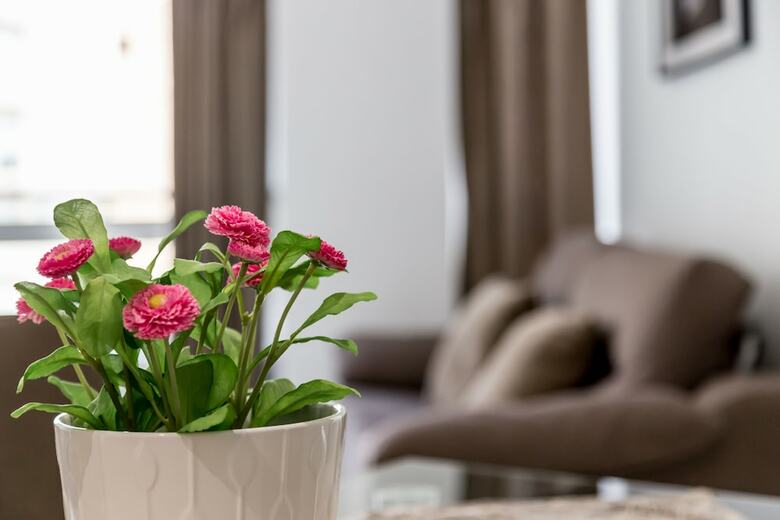 Apartamento Travel Habitat Aragon