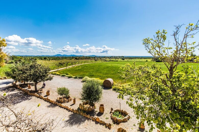 Agroturismo Sa Cova Den Borino