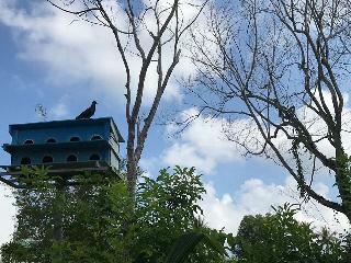 Hotel Countryside Phu Quoc Resort