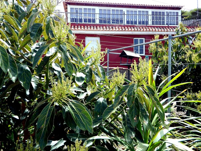 Villa Finca La Chamusca