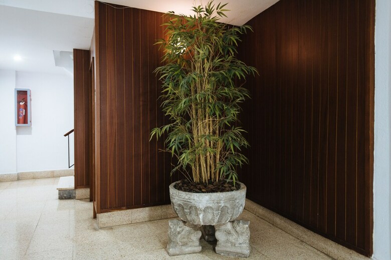 Apartamentos Light Of Sevilla 2