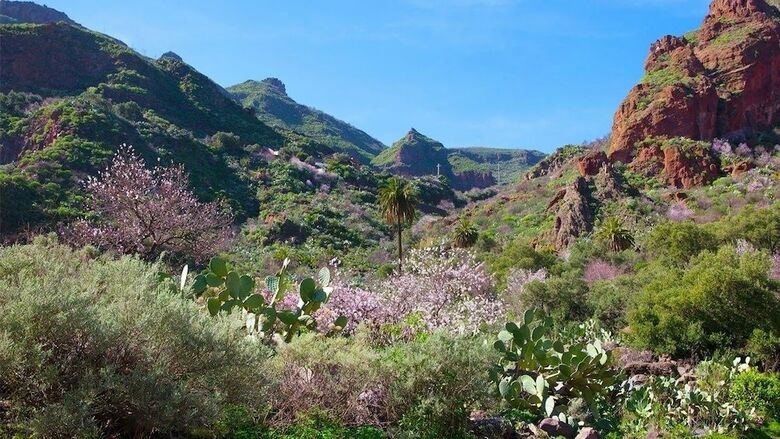 Casa Rural Guayadeque Ca'juani